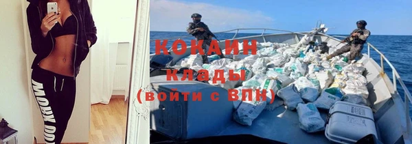 шишки Новокубанск