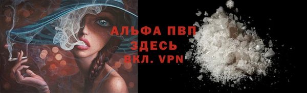 шишки Новокубанск