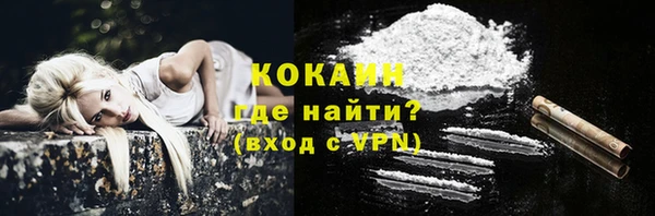 шишки Новокубанск