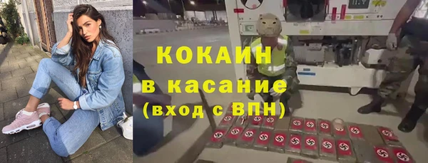шишки Новокубанск