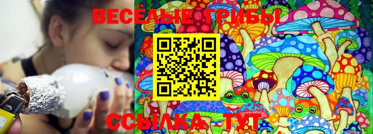 Псилоцибиновые грибы Psilocybine cubensis Архангельск