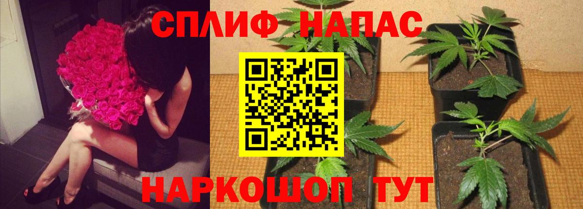 Бошки Шишки Ganja Архангельск